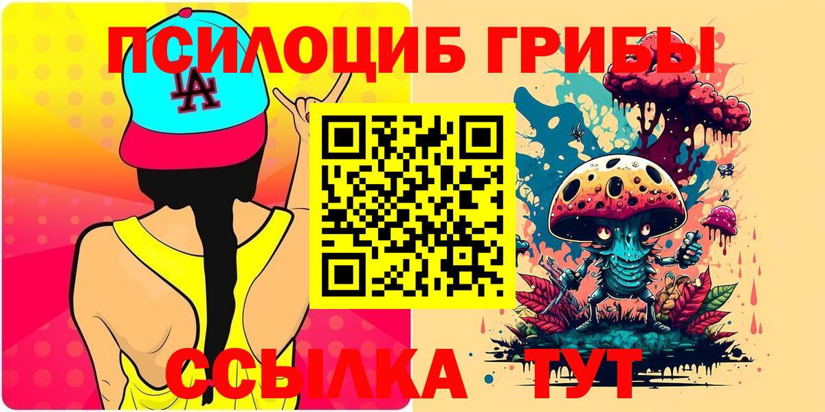 Шелехов  Псилоцибиновые грибы Cubensis  закладка  Вход с VPN 